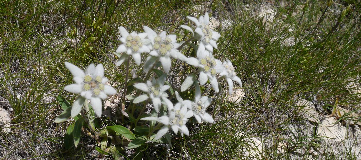 Alta Badia – location & surroundings