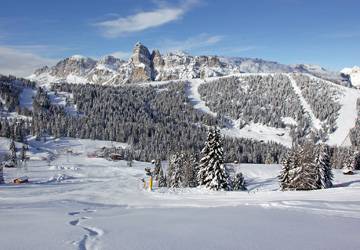 Winter
Winter