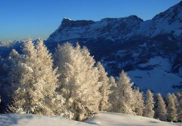 Val Badia Winter
Val Badia Winter